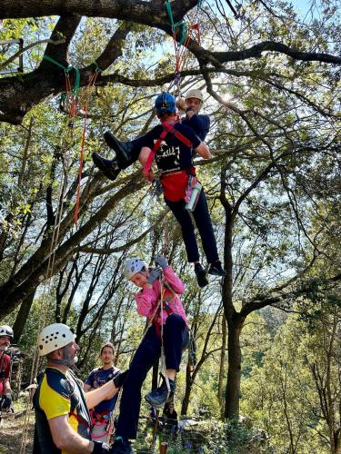 2025-04-05-Mulinu ITP 012