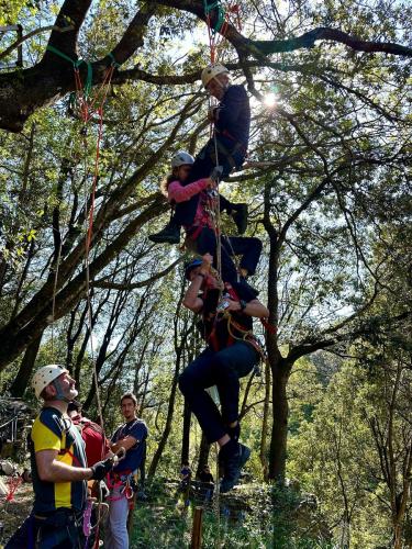 2025-04-05-Mulinu ITP 013