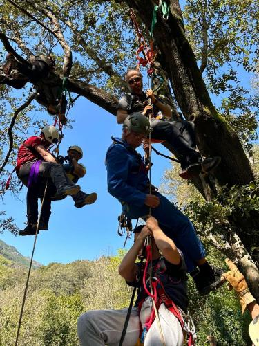 2025-04-05-Mulinu ITP 014