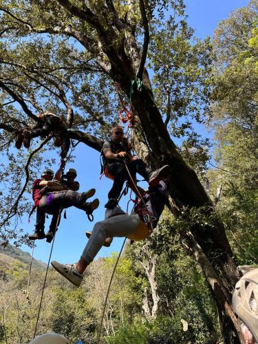 2025-04-05-Mulinu ITP 015