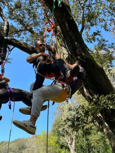 2025-04-05-Mulinu ITP 016