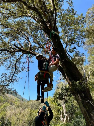 2025-04-05-Mulinu ITP 017