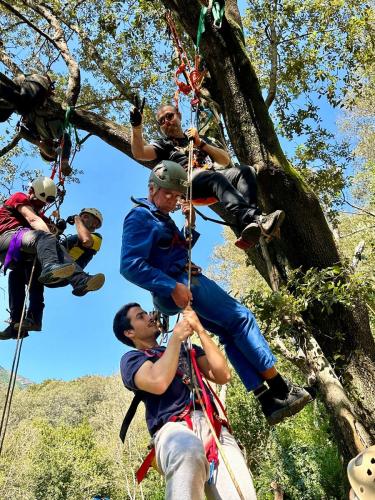 2025-04-05-Mulinu ITP 018