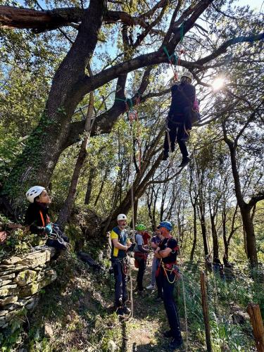 2025-04-05-Mulinu ITP 019