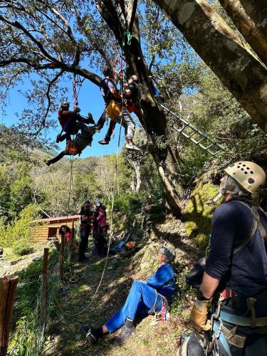 2025-04-05 SSF Mulinu