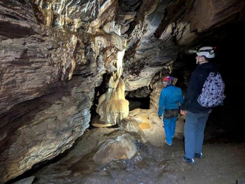 2025-04-09-Butrone FN 001