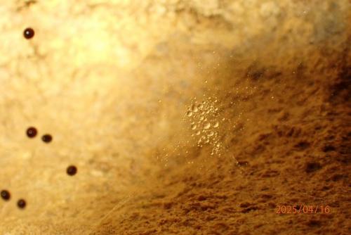 2025-04-16-Begood CW 002