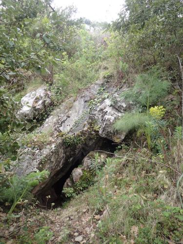 C'est par ici l'entrée !