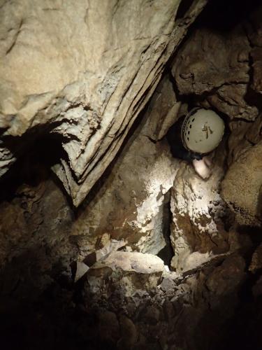 La chatière suspendue