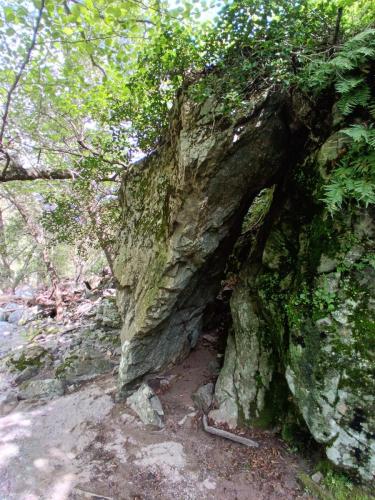 2025-04-23-Piana-Tartagine Micca 013