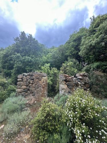 2025-05-11-Pietralbello-Mines-de-Ponte-Leccia AD 042