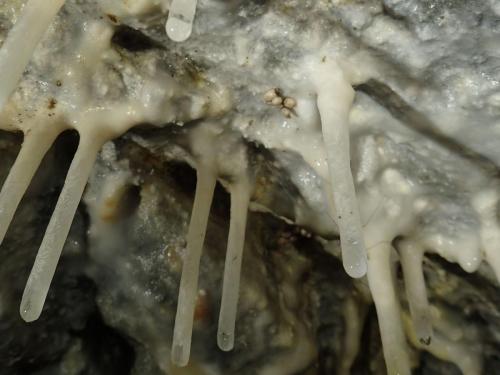 2025-05-11-Pietralbello-Mines-de-Ponte-Leccia LMJC 022