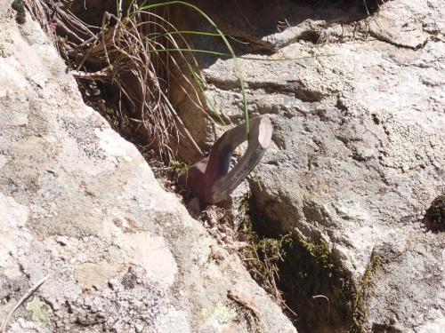 2025-05-24-Aven-de-Rega ITP 006