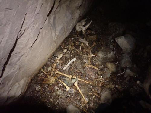 2025-05-24-Aven-de-Rega ITP 009