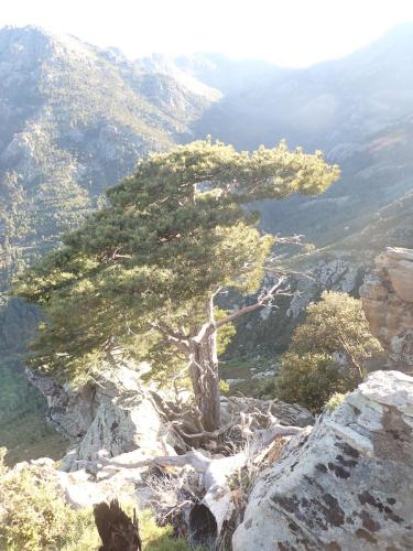 2025-05-24-Aven-de-Rega ITP 025