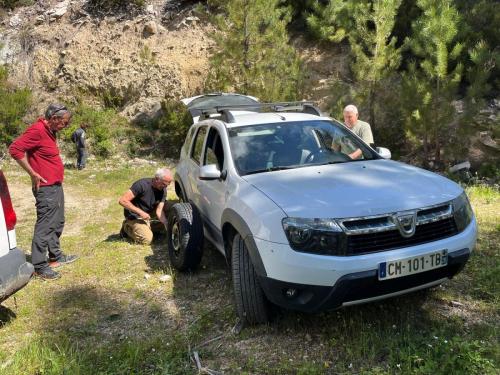 2025-05-24-Aven-de-Rega LMJC 001