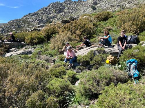 2025-05-24-Aven-de-Rega LMJC 002