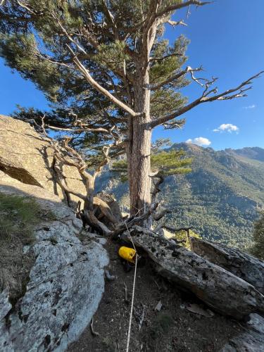 2025-05-24-Aven-de-Rega LMJC 012