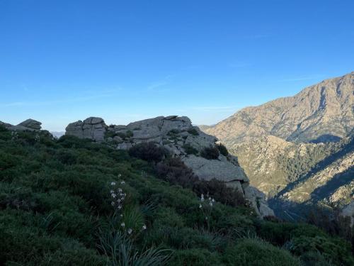 2025-05-24-Aven-de-Rega LMJC 013