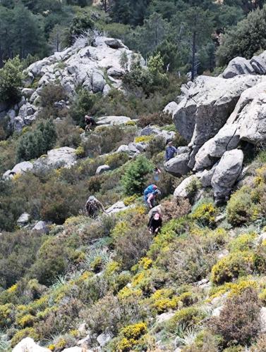 2025-05-24-Aven-de-Rega LMS 003