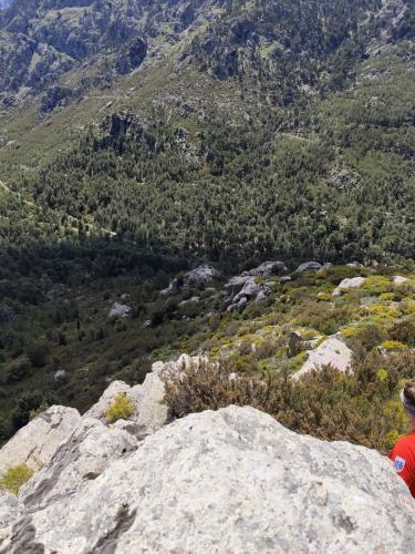 2025-05-24-Aven-de-Rega LMS 004