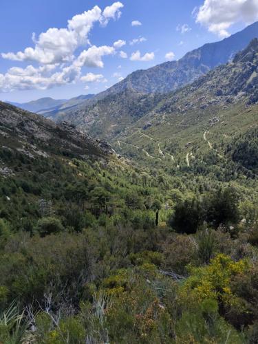 2025-05-24-Aven-de-Rega LMS 005