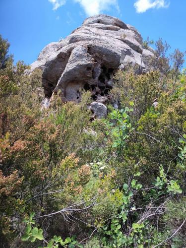 2025-05-24-Aven-de-Rega LMS 006