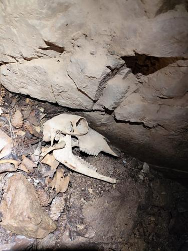 2025-05-24-Aven-de-Rega LMS 009