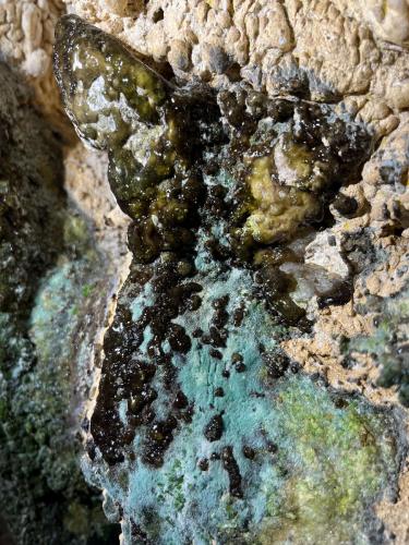 2025-06-05-Dolo-Marie-Prospection LMJC 04