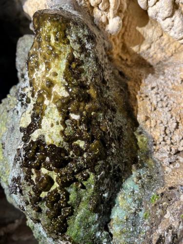 2025-06-05-Dolo-Marie-Prospection LMJC 05