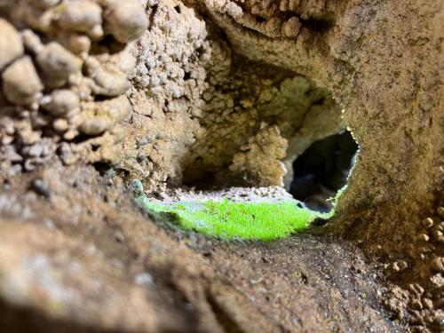 2025-06-05-Dolo-Marie-Prospection LMJC 07