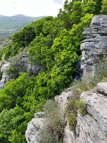 2025-06-05-Dolo-Marie-Prospection LMJC 13