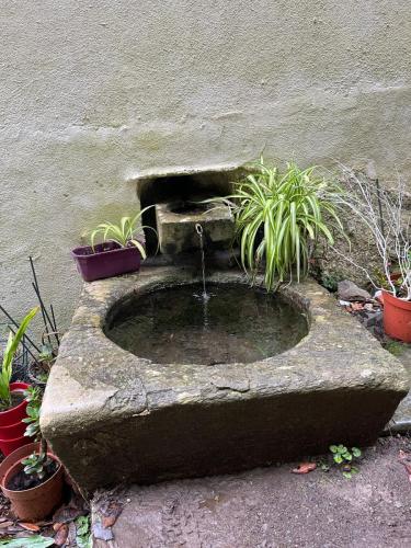 2025-08-20-Grotte-de-Pancheraccia LMJC 02