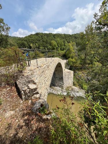 2025-08-20-Grotte-de-Pancheraccia LMJC 11