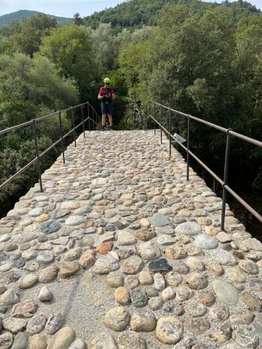 2025-08-20 Pancheraccia