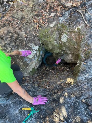 2025-10-12-Prospection-Cast-suite-incendies LMJC 05