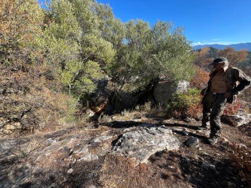 2025-10-12-Prospection-Cast-suite-incendies LMJC 13