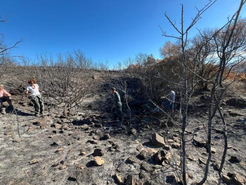 2025-10-12-Prospection-Cast-suite-incendies LMJC 14