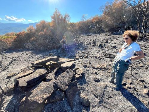 2025-10-12-Prospection-Cast-suite-incendies LMJC 16