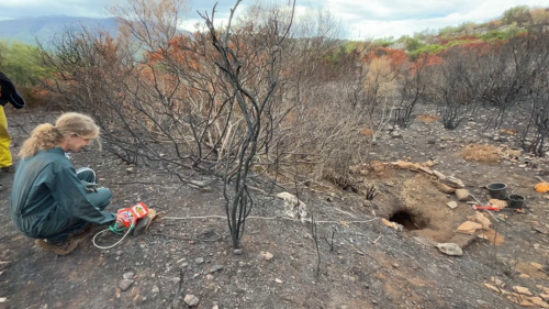 2025-10-25-Cast-Lidar LMJC 07