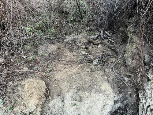 2025-11-09 San Quilico Sant Angelo