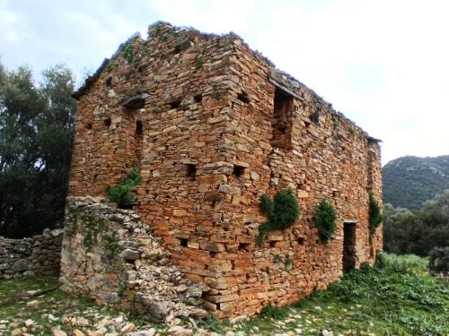 2025-02-17 Cast 1 CC