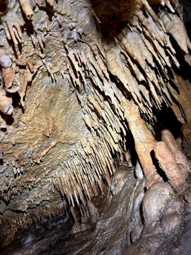 WhatsApp-Image-2025-02-05-at-19.00.26-3