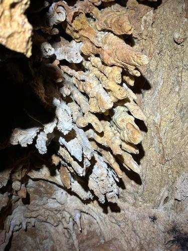 WhatsApp-Image-2025-02-05-at-19.00.26