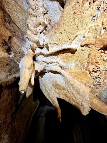 WhatsApp-Image-2025-02-05-at-19.00.27-3