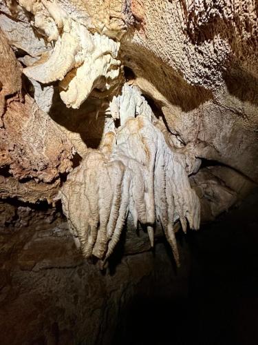 WhatsApp-Image-2025-02-05-at-19.00.27-4