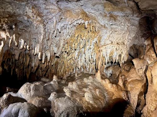 WhatsApp-Image-2025-02-05-at-19.00.27