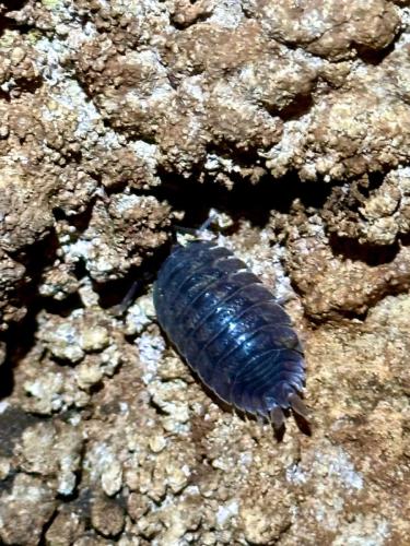 WhatsApp-Image-2025-02-05-at-19.00.28-2