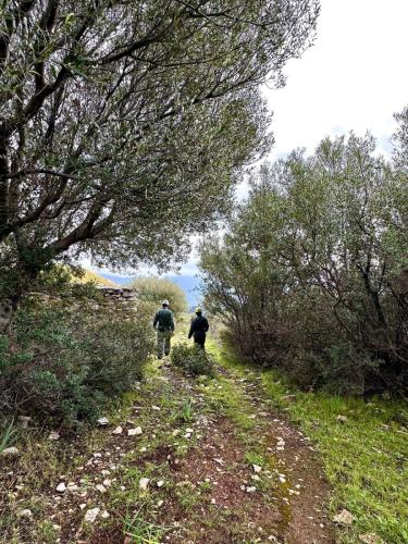 WhatsApp-Image-2025-02-05-at-19.00.28-3