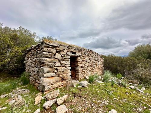 WhatsApp-Image-2025-02-05-at-19.00.28-4